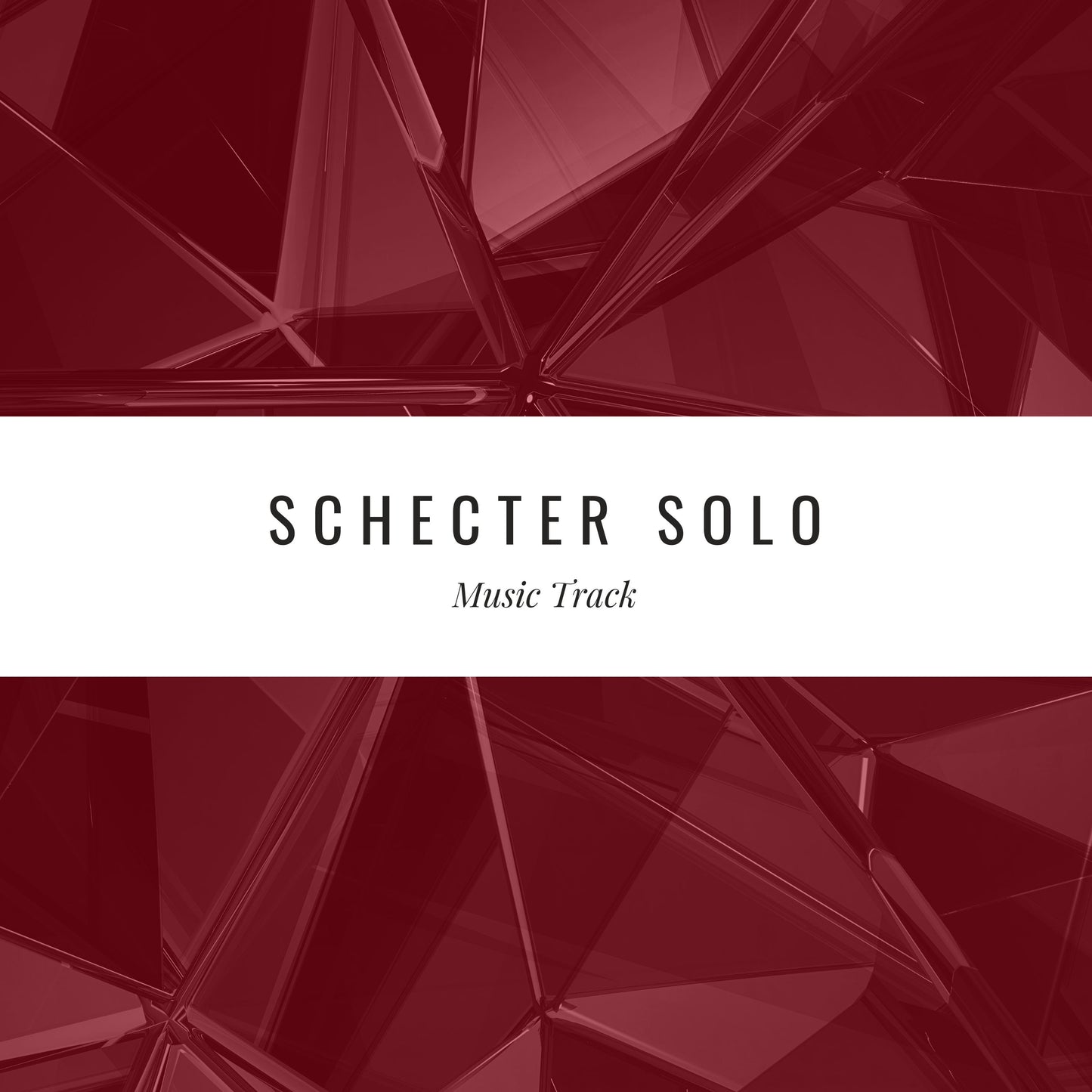 Schecter Solo : Fully Guitarist Band
