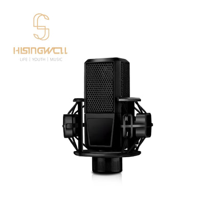 HISINGWELL Capacitive Microphone Studio Recording